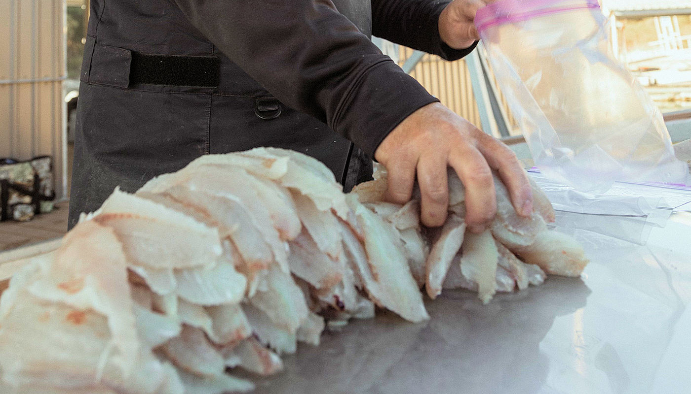 Lake Texoma Fishing Trip Gift Certificate from Jacob Orr’s Guaranteed Guide Service Lake Texoma Fishing Trip Gift Certificate from Jacob Orr's Guaranteed Guide Service