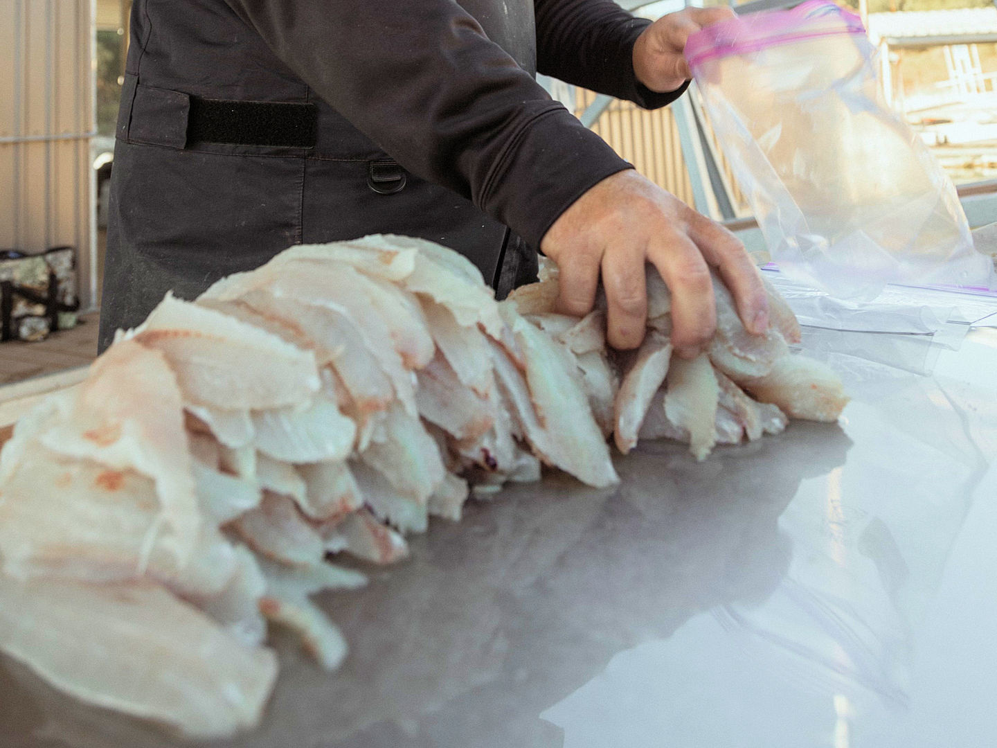 Lake Texoma Fishing Trip Gift Certificate from Jacob Orr’s Guaranteed Guide Service Lake Texoma Fishing Trip Gift Certificate from Jacob Orr's Guaranteed Guide Service